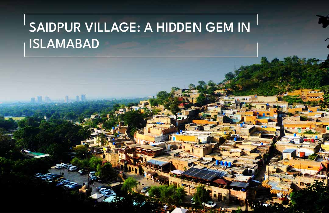 saidpur_village