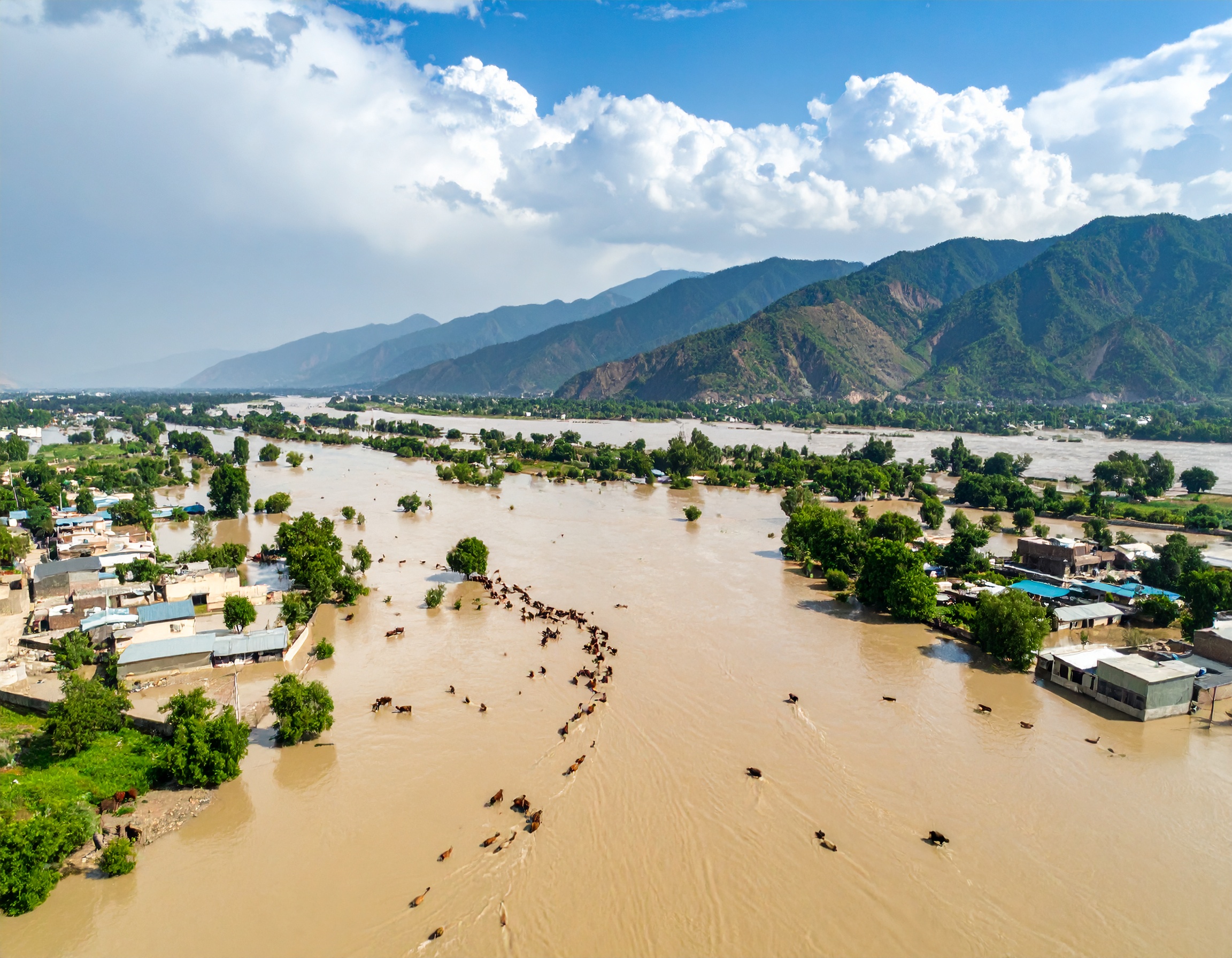 Floods in Sindh & Balochistan