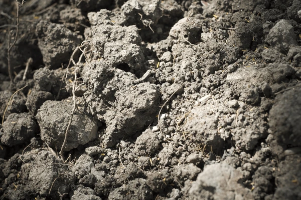 Alluvial Soil one of the types of soil in pakistan