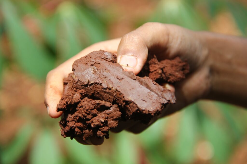 The,Hand,Is,Holding,A,Lump,Of,Clay,Loam.,Soil