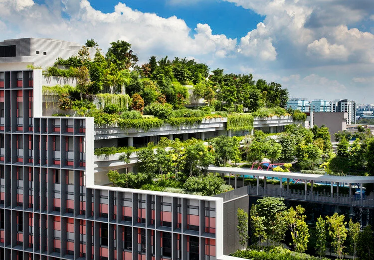 Essentials of Green Building Elements