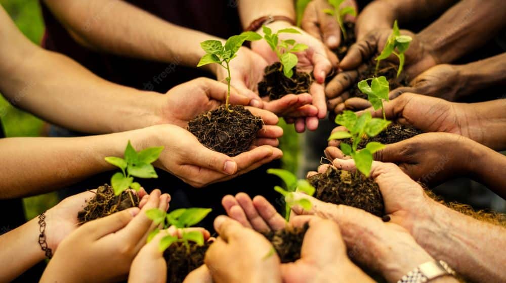 Punjab rolls out major afforestation and eco-tourism campaign