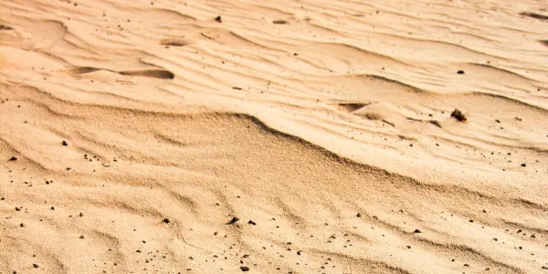 Sandy one of the types of soil