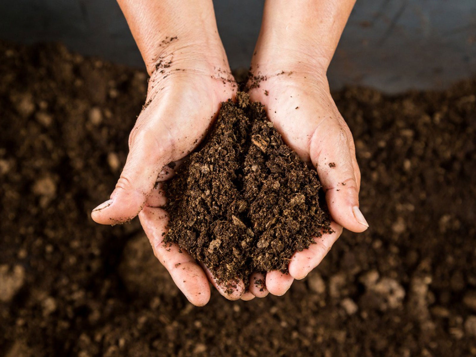Peaty soil