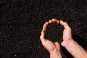 Types of Soil