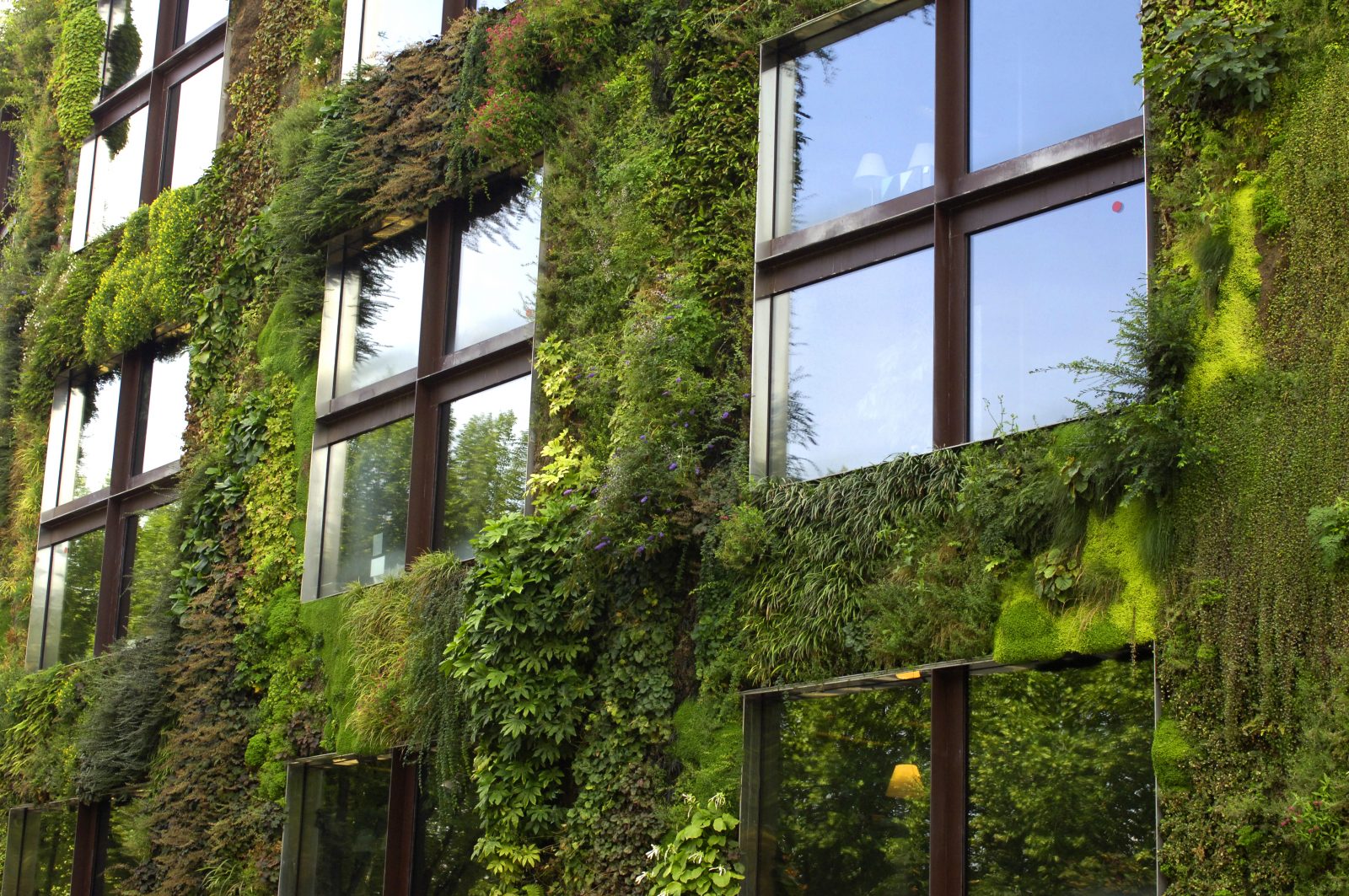 Green & Living Walls