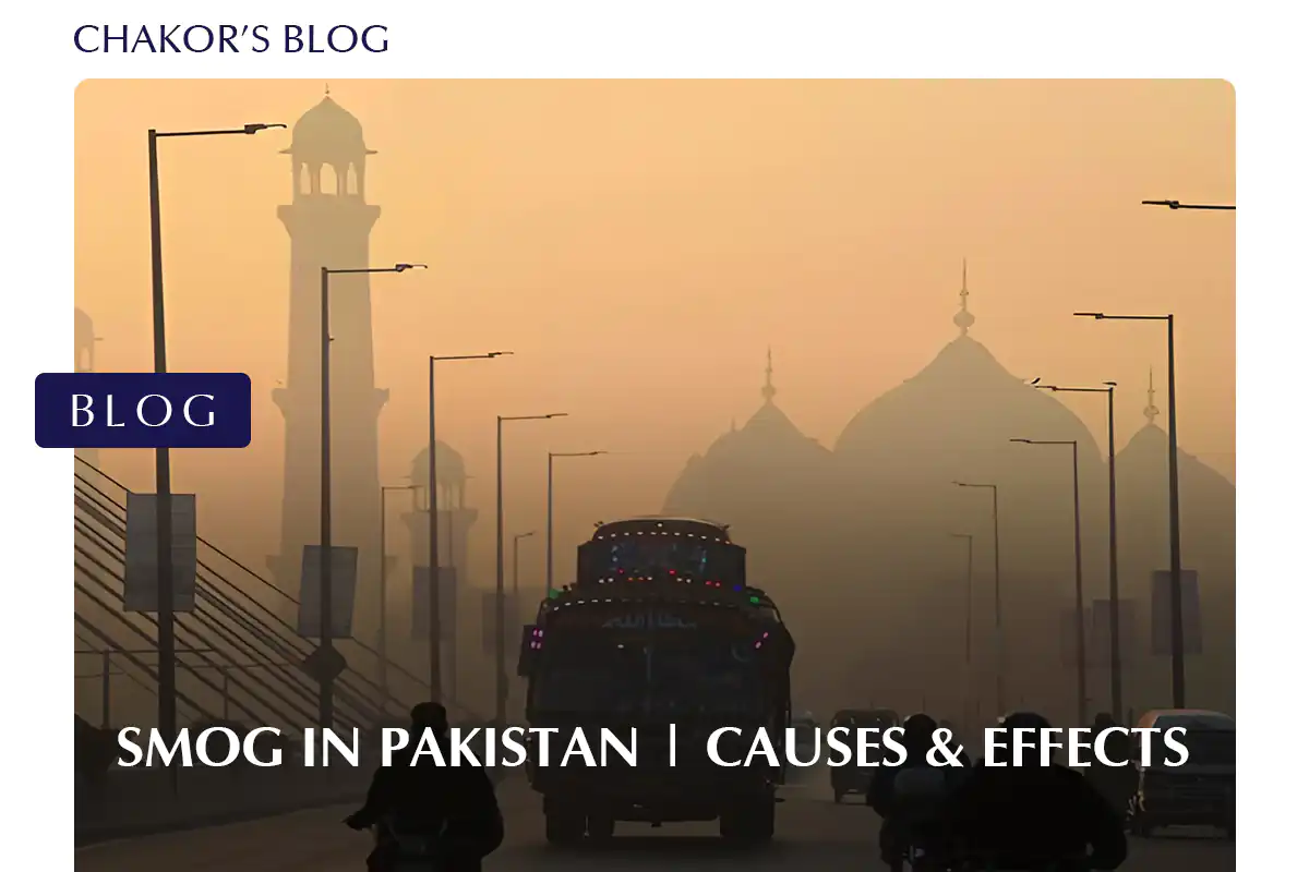 Smog in Pakistan 2025: Causes, Cities Affected & How to Stay Safe