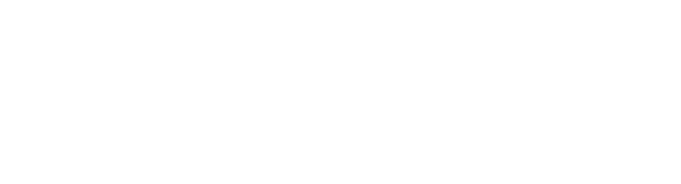 Citadel 7 Logo