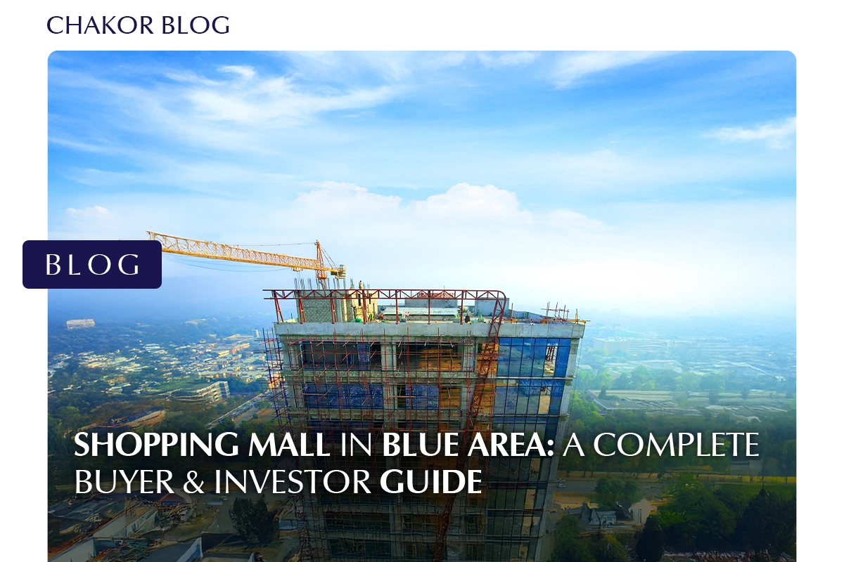 Shopping Mall in Blue Area: A Complete Buyer & Investor Guide