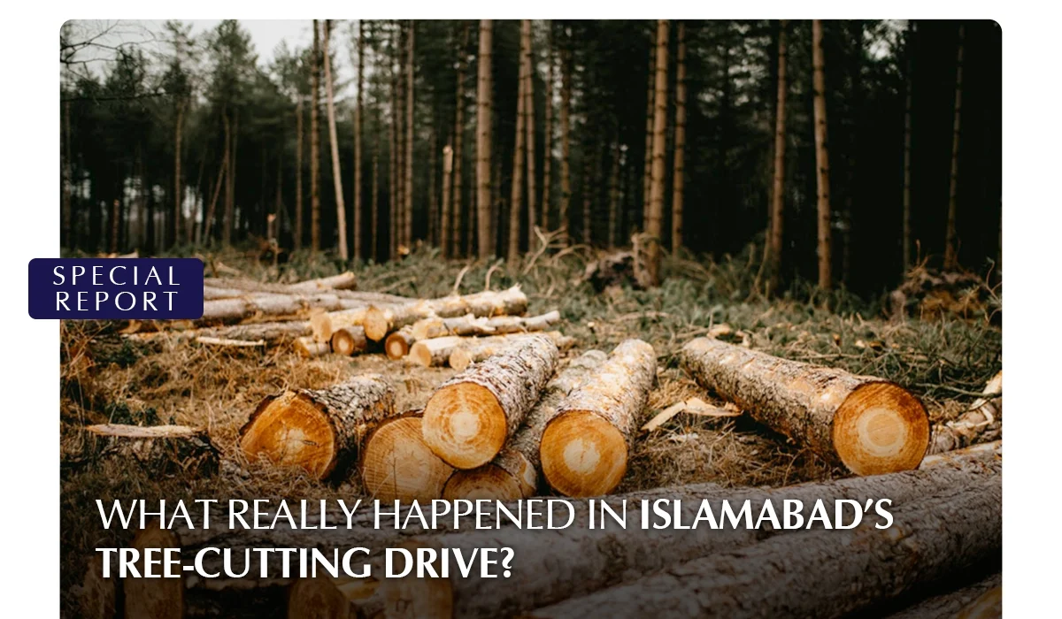 cutting of tree in islamabad