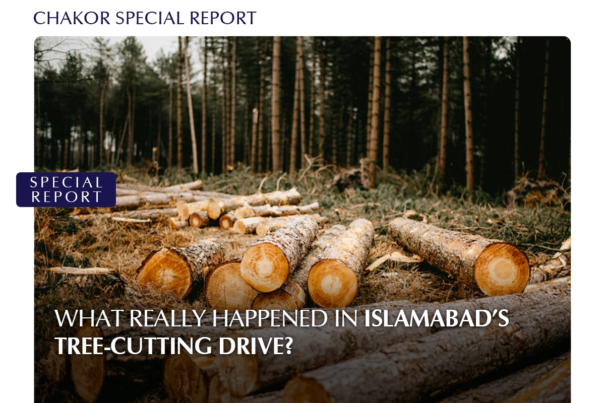 What Really Happened in Islamabad’s Tree-Cutting Drive?