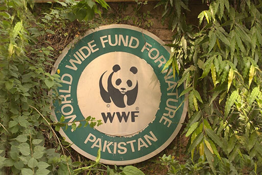 WWF-Pakistan report on cutting of trees in islamabad