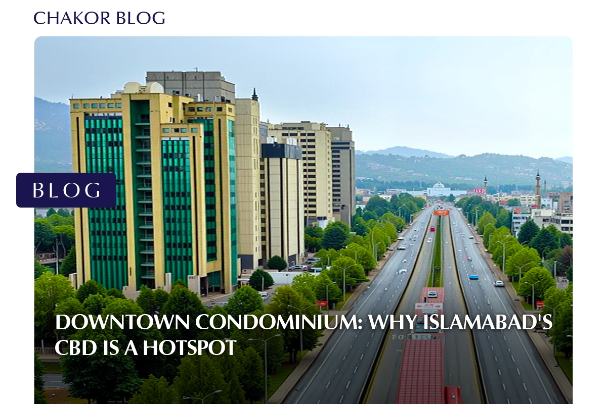 Downtown Condominium