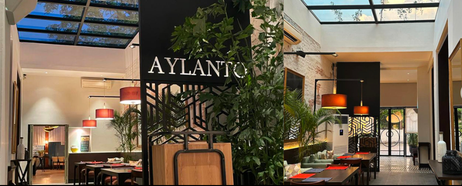 cafe aylanto