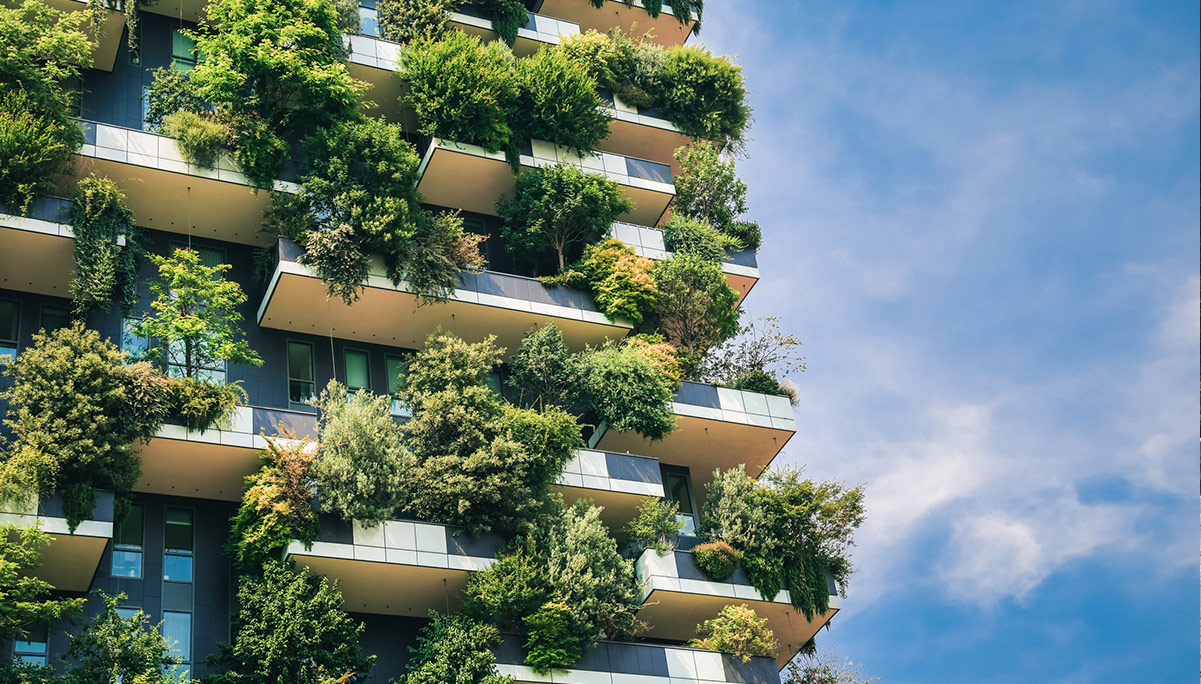 Eco-Friendly City View Apartments Pakistan