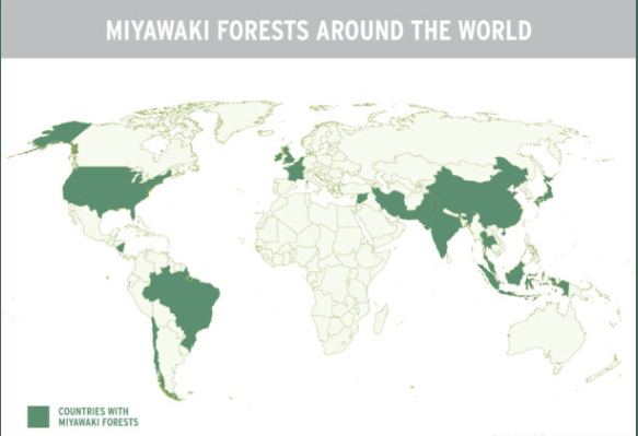 Miyawaki Forests Around the World