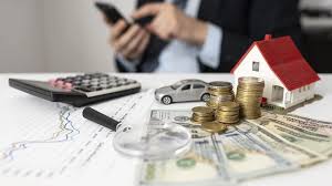 wealth statement pakistan`