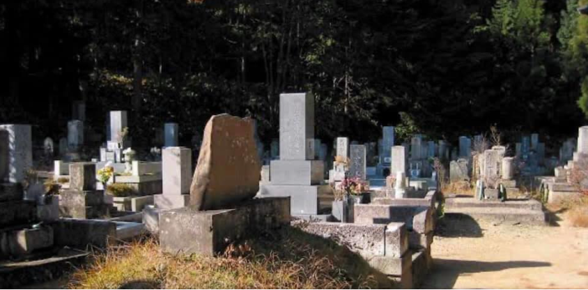buddhist graveyard, islamabad