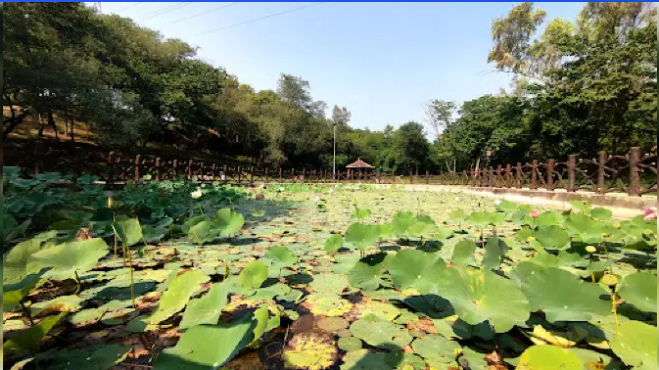 Lotus Lake