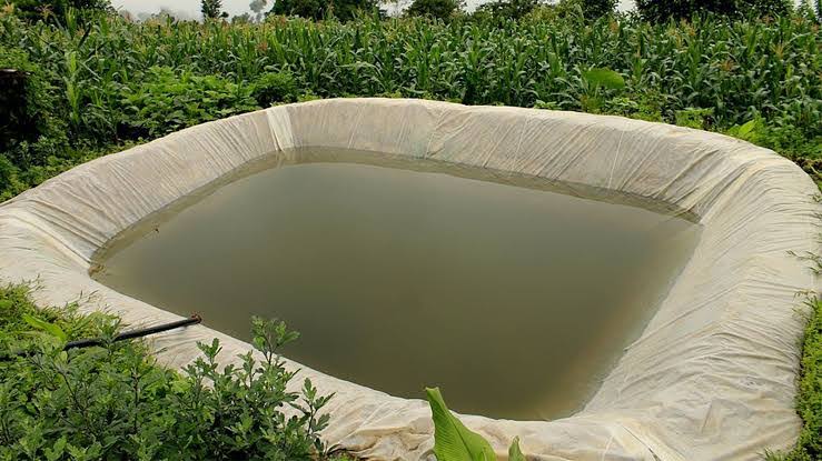 Rainwater Harvesting in Pakistan