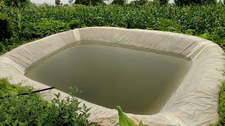 Surface Runoff Harvesting
