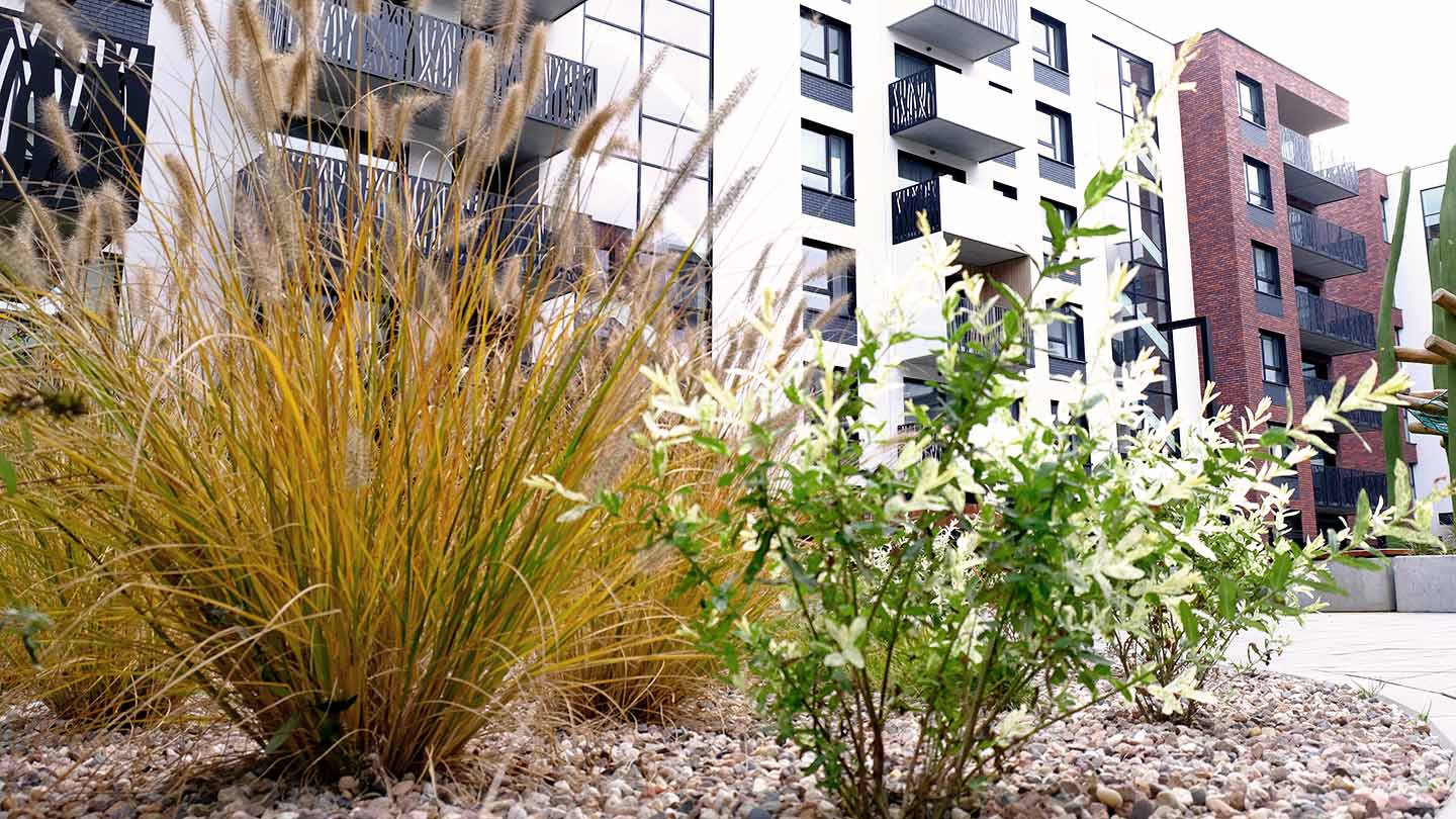 Climate-Resilient Real Estate