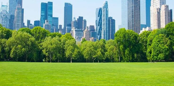 Seeing the Colour vs. Being in Green Spaces